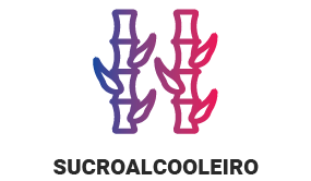 Papel e Celulose